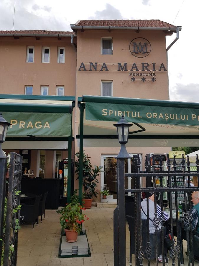 Pensiunea Ana Maria Беїле-Фелікс Екстер'єр фото